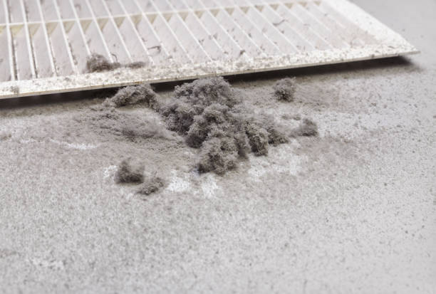 Best Air Duct Cleaning Near Me in Guyton, GA