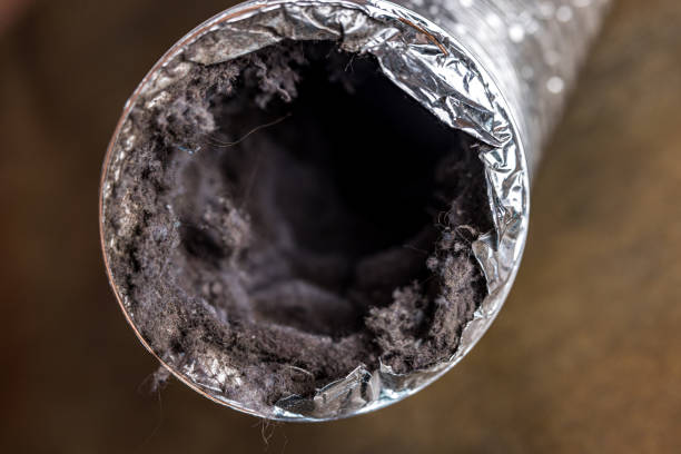 Best Duct Cleaning for Offices  in Guyton, GA